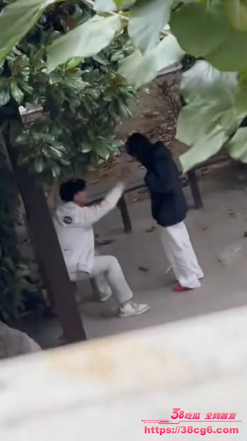 1768135258741767________1_.jpeg 1768135258741767________1_.jpeg