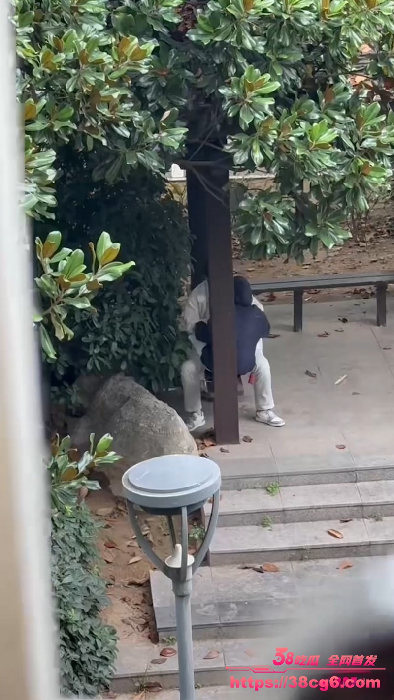 1768135258741541________8_.jpeg 1768135258741541________8_.jpeg