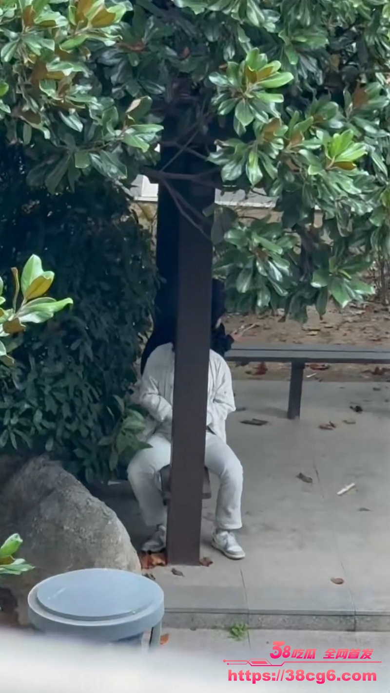 1768135258741621______.jpeg 1768135258741621______.jpeg